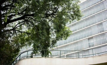 A importância das energias renováveis na competitividade empresarial