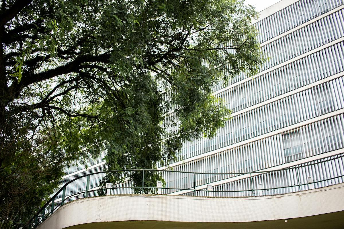 A importância das energias renováveis na competitividade empresarial