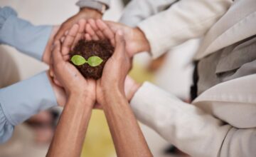 Eficiência energética – estratégias para reduzir custos empresariais em 2025