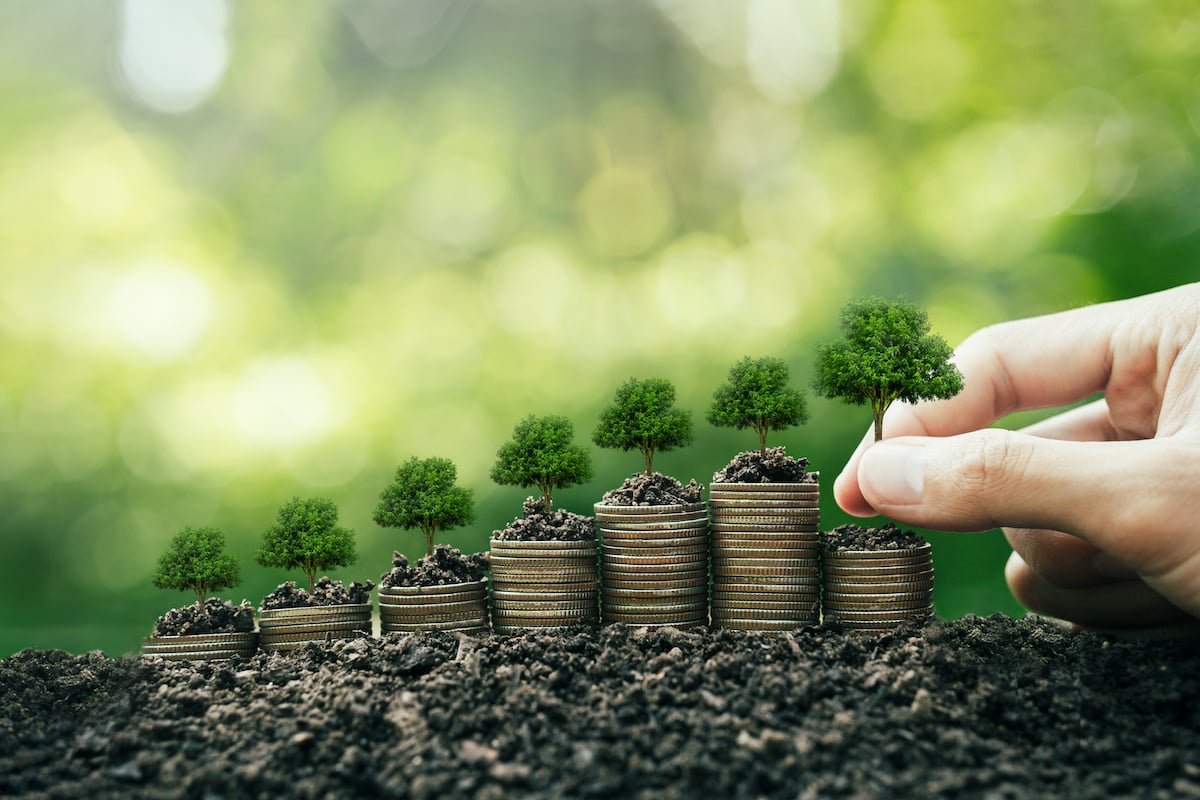 Eletrificação na transição energética: oportunidades para as empresas