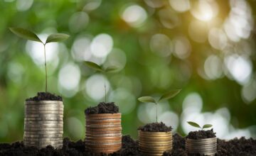 Transição energética e descarbonização: tudo o que as empresas devem saber