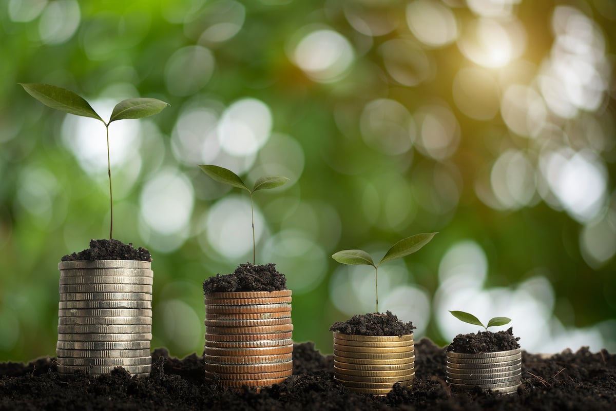 Transição energética e descarbonização: tudo o que as empresas devem saber