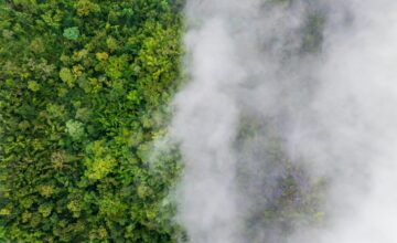 10 medidas para alcançar a neutralidade carbónica nas empresas